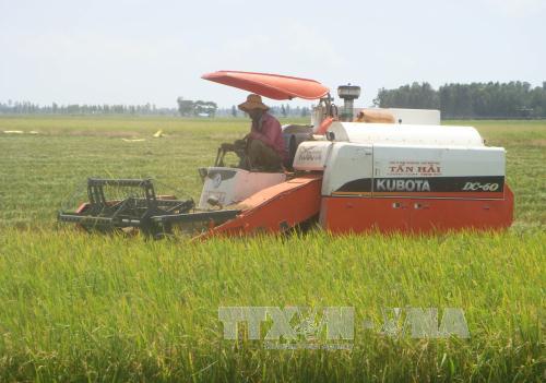 Trung Quốc muốn ký kết hợp tác tiêu thụ nông sản tại tỉnh Long An